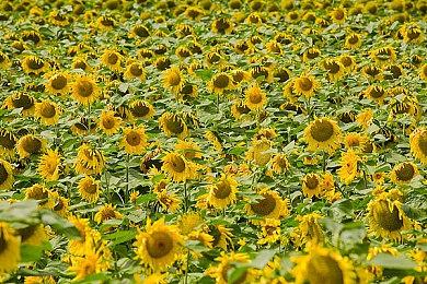 《现代战争3》代码确认基本上是《现代战争2》的DLC